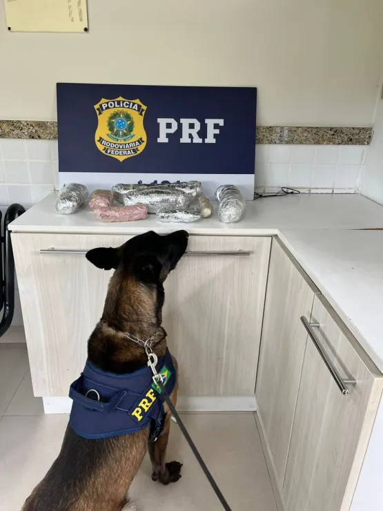 A PRF captura uma mulher transportando mais de 3 kg de cocaína.