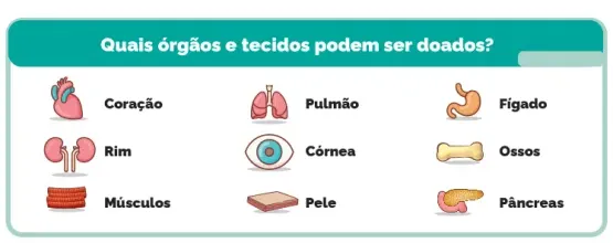 Recusa para doação de órgãos é de 50% no ES