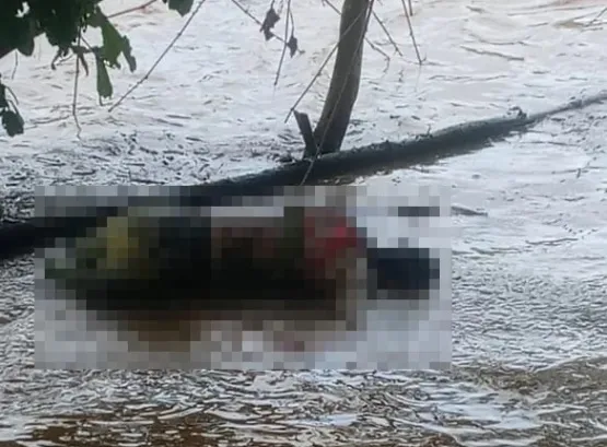 Corpo de homem desaparecido é encontrado às margens do Rio Alcobaça após cinco dias