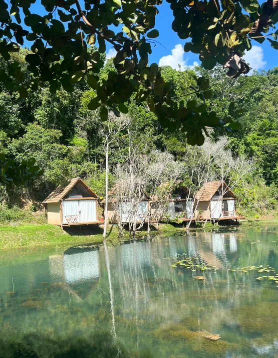 Chalés da Floresta: nova opção de hospedagem e ecoturismo em meio à natureza de Porto Seguro