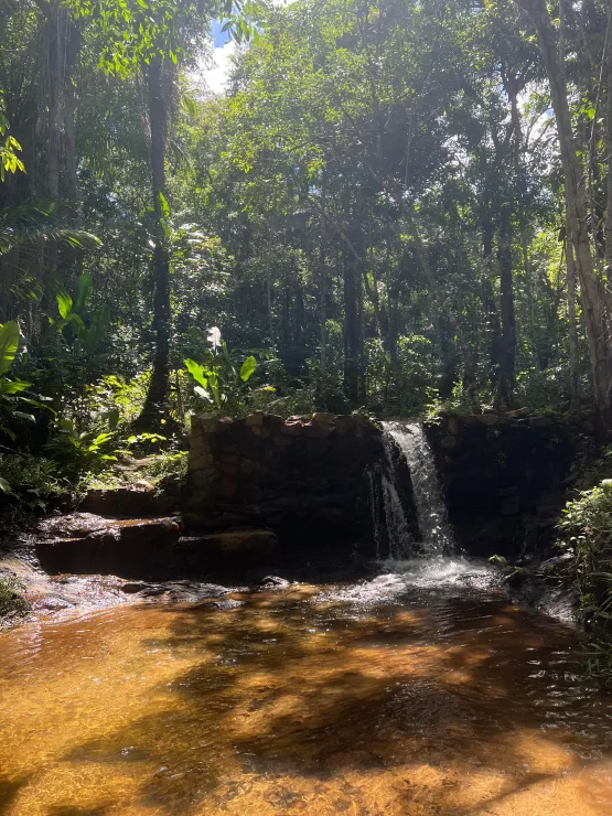 Chalés da Floresta: nova opção de hospedagem e ecoturismo em meio à natureza de Porto Seguro