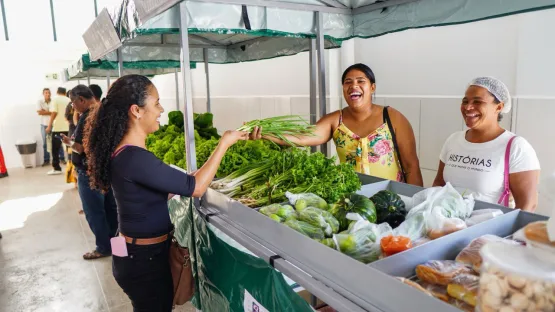 Início das Atividades do Mercado Municipal do Peixe Promete Impulsionar a Economia de Caravelas