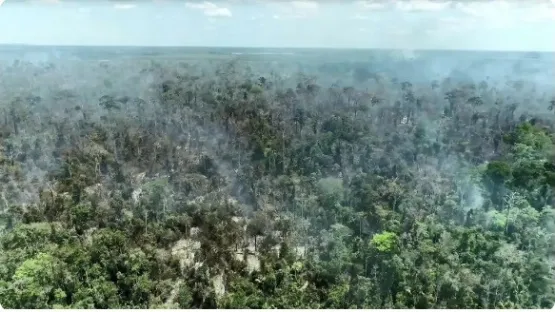 Queimadas aumentam no ES e destroem área equivalente a 85 Maracanãs em incêndios