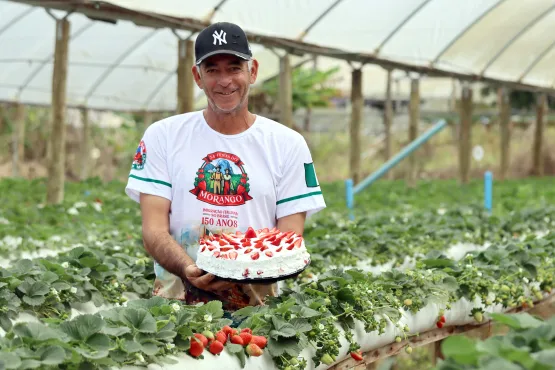 Tortas terão mais de 500 quilos de morangos em Pedra Azul