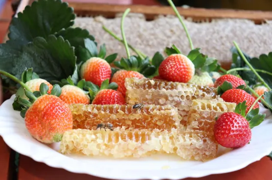 Um banquete de sabores com morangos nas montanhas