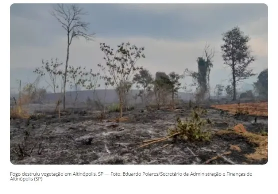 Tarcísio confirma prisões por incêndios criminosos no interior de SP