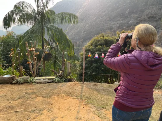 Observação de aves é mais uma atividade para potencializar o turismo na região de montanhas do ES