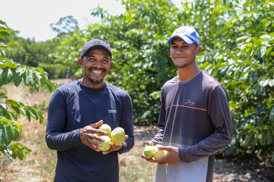 Agroindústria de polpa de frutas transforma a vida de agricultores familiares no Litoral Norte da Bahia