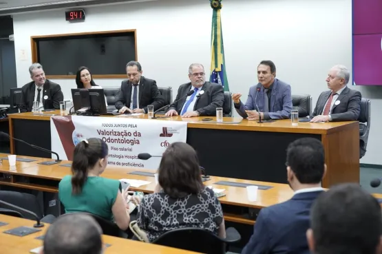 CRO Bahia representa conselhos de todo o Brasil em reunião na Câmara dos Deputados