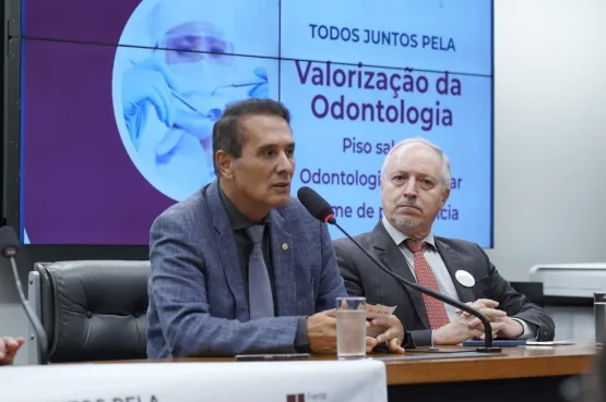 CRO Bahia representa conselhos de todo o Brasil em reunião na Câmara dos Deputados