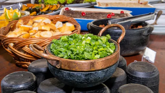 Day Use com Feijoada: programa de sábado no Eco Bahia Hotel