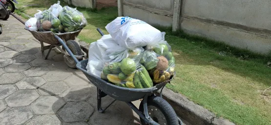 Programa Sexta Verde beneficia 300 famílias em Nova Venécia com alimentos da agricultura familiar