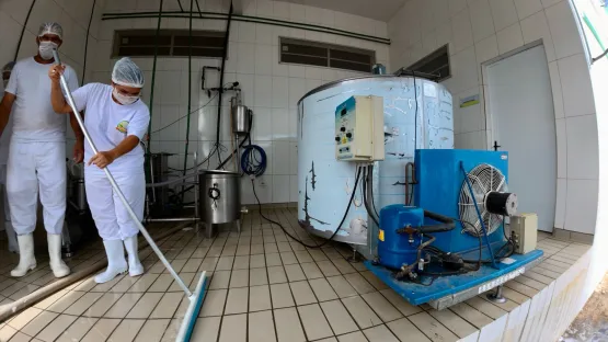Leite da agricultura familiar é transformado em novos produtos no laticínio de Caturama