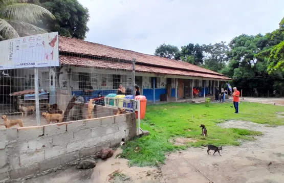 Projeto Adotar Pinheiros recebe apoio do Estado para ampliar resgates de animais