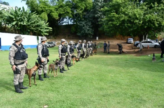 Polícia Militar do ES apresenta 14 novos cães farejadores