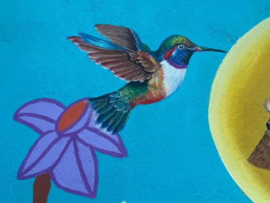 Projeto “Cores Comunidades” cria novos significados para espaços urbanos de Vitória