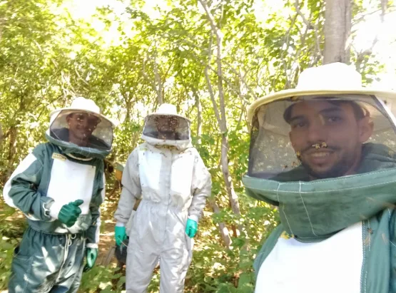 Certificação SIM agrega valor e impulsiona vendas de produtos de agroindústrias familiares da Bahia  