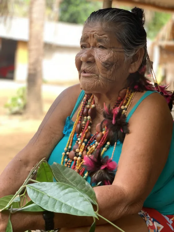 Festival Caju de Leitores abre programação com dois palcos e vozes da terra