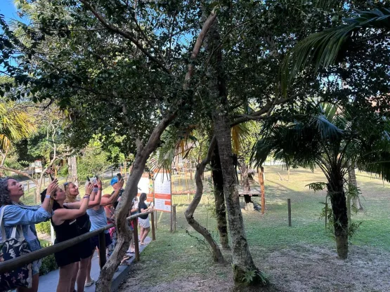 Porto Seguro Praia recebe famtour de agentes de viagens argentinos