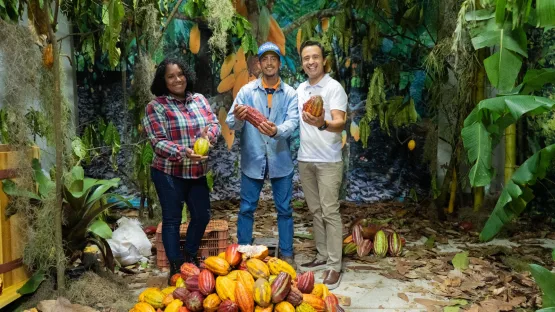 Fazenda localizada em Bebedouro produz a melhor amêndoa de cacau de Linhares