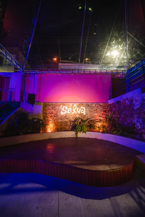 Do funk ao tecnobrega, “Carnaval na Selva” promove festa de ritmos no Centro de Vitória