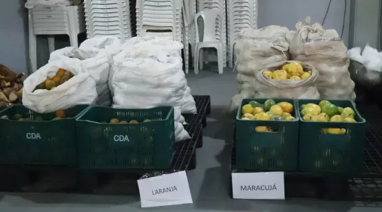 Prefeitura de Jaguaré inicia distribuição de alimentos com apoio de agricultores locais