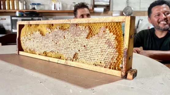 Governo da Bahia fortalece a apicultura no Recôncavo com entrega de 220 kits