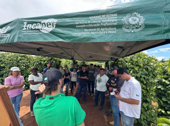 Produtores recebem orientações técnicas em dia de campo da pimenta-do-reino em São Mateus