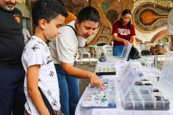 Museu Geológico da Bahia promove 1º encontro de colecionadores e exposição sobre a história da Terra