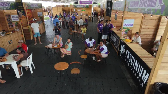 Festival da Colheita da Uva destaca diversificação agrícola e potencial turístico de Jaguaré