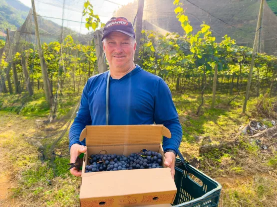 Linhares abre a temporada da colheita de uvas na comunidade de São Judas, em São Rafael