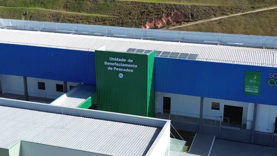 Cooperativa investe R$ 12 milhões em filetadora para aumentar produção de tilápias no Espírito Santo