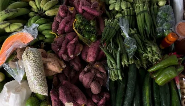 Salvador recebe encontro nacional de Pesquisas em Gastronomias