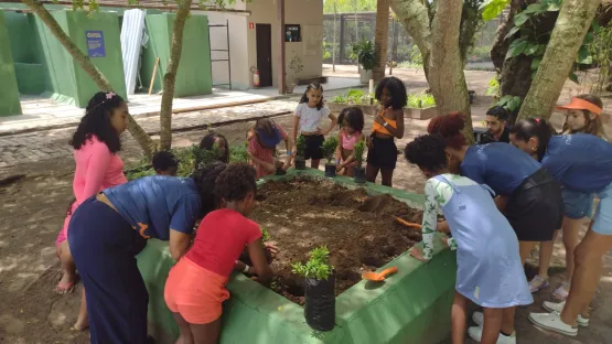 Em Itaparica, estudantes transformam visitas escolares em experiências científicas
