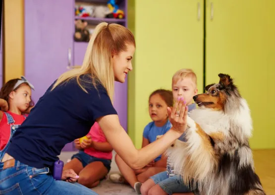 Pets na escola: estratégia pode contribuir para autorregulação e aprendizagem
