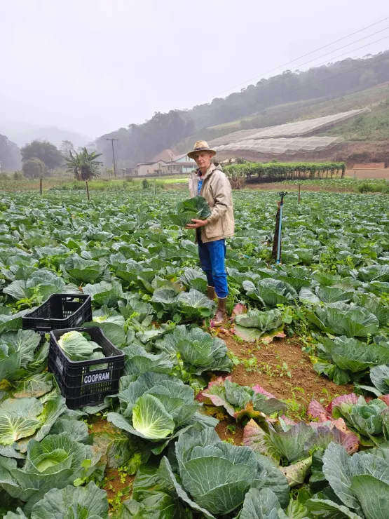 Cooperativa leva produção de agricultores de Domingos Martins para estudantes de todo o Espírito Santo