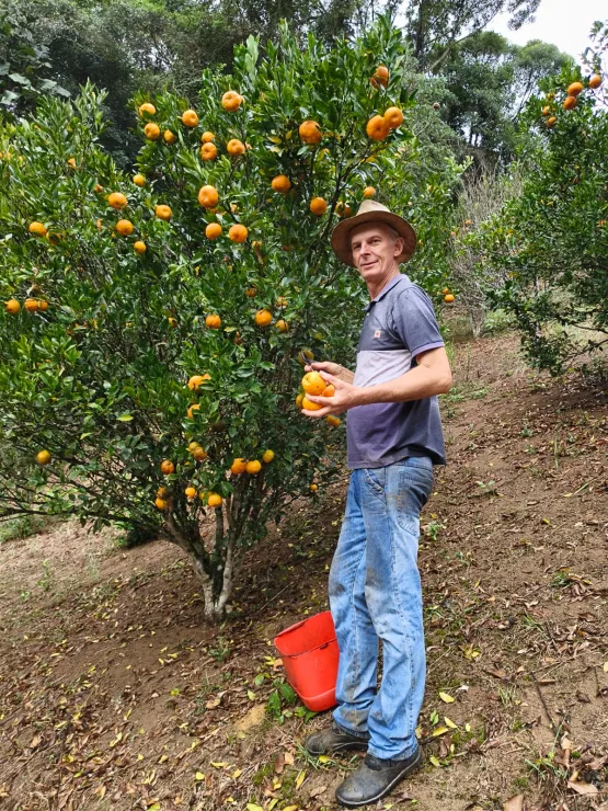 Cooperativa leva produção de agricultores de Domingos Martins para estudantes de todo o Espírito Santo