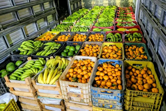 Cooperativa leva produção de agricultores de Domingos Martins para estudantes de todo o Espírito Santo