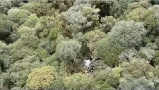 Nesta segunda-feira (21), a Guarda Civil Municipal de Linhares (GCM), em conjunto com o Ministério Público do Espírito Santo, deram cumprimento a uma ordem judicial de busca e apreensão de uma motocicleta. A ação ocorreu no bairro Três Barras.  A apreensão está diretamente associada a ocorrências de perturbação do sossego público. A Justiça tem determinado a apreensão de veículos e motocicletas reincidentes nesse tipo de prática, como descarga livre e manobras perigosas (o popular 