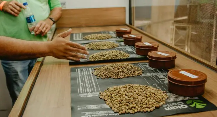 1º Concurso do Café Conilon de Jaguaré realiza avaliação de amostras