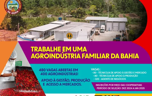 480 vagas de trabalho estão abertas para fortalecer a agricultura familiar na Bahia