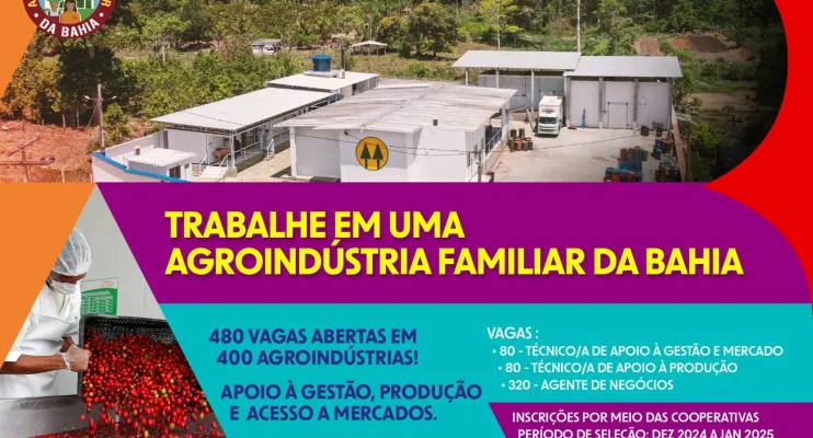 480 vagas de trabalho estão abertas para fortalecer a agricultura familiar na Bahia