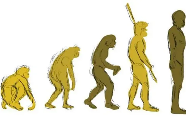 5 ideias erradas que temos sobre a evolução 
