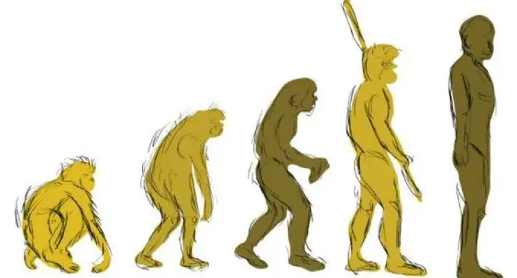 5 ideias erradas que temos sobre a evolução 