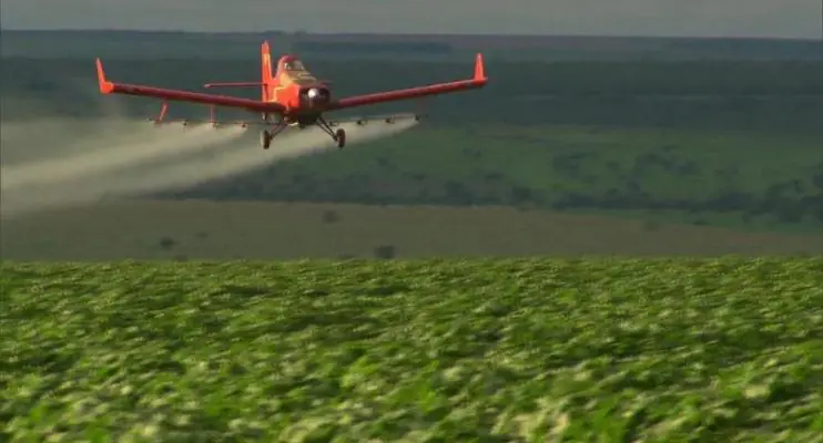 50 bebês são intoxicados por dia no Brasil por agrotóxicos, aponta pesquisadora da USP