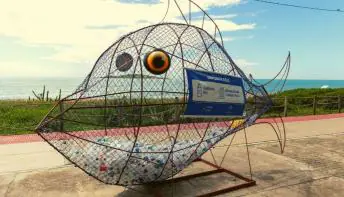 Dia Mundial da Água: peixes-lixeira promovem conscientização