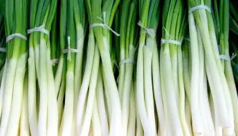 7 coisas que você precisa saber sobre a cebolinha