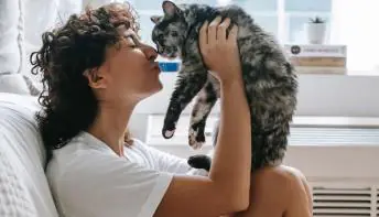 Roupas, mão na barriga e mais 8 coisas que os humanos fazem que os gatos odeiam