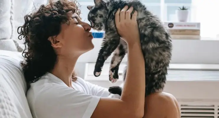Roupas, mão na barriga e mais 8 coisas que os humanos fazem que os gatos odeiam