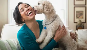 A importância dos animais de estimação para o bem-estar emocional